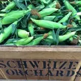 Schweizer Orchards photo