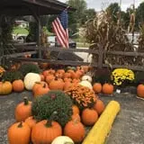 Schweizer Orchards photo