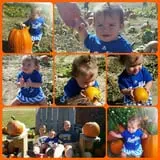 Schweizer Orchards photo