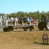 Schweizer Orchards photo