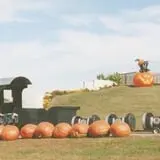 Schweizer Orchards photo