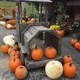 Schweizer Orchards photo