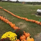 Schweizer Orchards photo