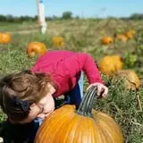 Schweizer Orchards photo