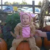 Schweizer Orchards photo