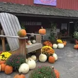 Schweizer Orchards photo