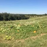 Schweizer Orchards photo