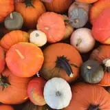 Andelin Family Farm - Corn Creepers Haunted Attraction & Zombie Paintball photo