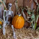 Kids Adventures at Field of Screams photo