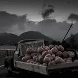 Kids Adventures at Field of Screams photo
