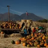 Kids Adventures at Field of Screams photo