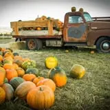 Kids Adventures at Field of Screams photo