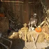 Kids Adventures at Field of Screams photo