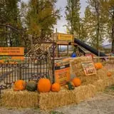 Kids Adventures at Field of Screams photo