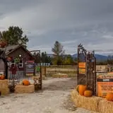 Kids Adventures at Field of Screams photo