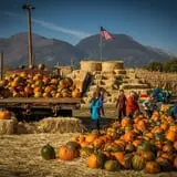 Kids Adventures at Field of Screams photo