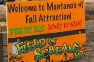 Kids Adventures at Field of Screams