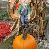 Sprague's Pumpkin Patch photo