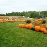 Sprague's Pumpkin Patch photo