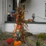 Sprague's Pumpkin Patch photo