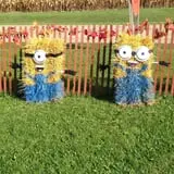 Sprague's Pumpkin Patch photo