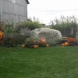 Sprague's Pumpkin Patch photo