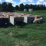 Steffens Orchard Market photo