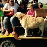 Steffens Orchard Market photo