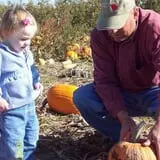 Steffens Orchard Market photo