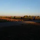 RC Acres Pumpkin Patch photo