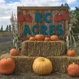 RC Acres Pumpkin Patch photo
