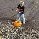 RC Acres Pumpkin Patch photo