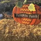 RC Acres Pumpkin Patch photo