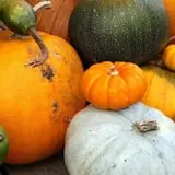 RC Acres Pumpkin Patch photo