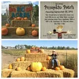 RC Acres Pumpkin Patch photo