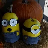 RC Acres Pumpkin Patch photo
