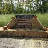 RC Acres Pumpkin Patch photo