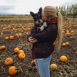 RC Acres Pumpkin Patch photo