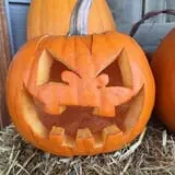 RC Acres Pumpkin Patch photo
