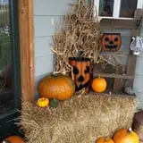 RC Acres Pumpkin Patch photo