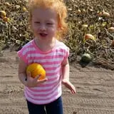 RC Acres Pumpkin Patch photo