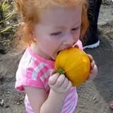 RC Acres Pumpkin Patch photo