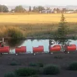RC Acres Pumpkin Patch photo