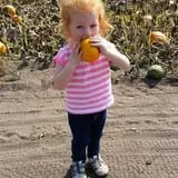 RC Acres Pumpkin Patch photo