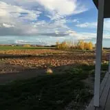 RC Acres Pumpkin Patch photo