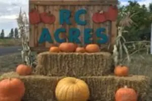 RC Acres Pumpkin Patch