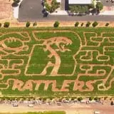 Vertuccio Farms Corn Maze & Fall Festival photo