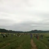 Kelder's Farm photo