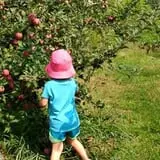 Kelder's Farm photo