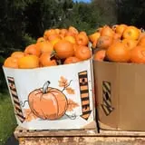 Kelder's Farm photo